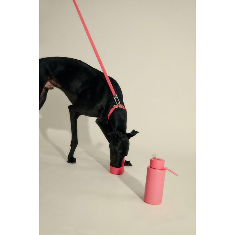 frank green Silicone Pet Bowl Attachment image number 1